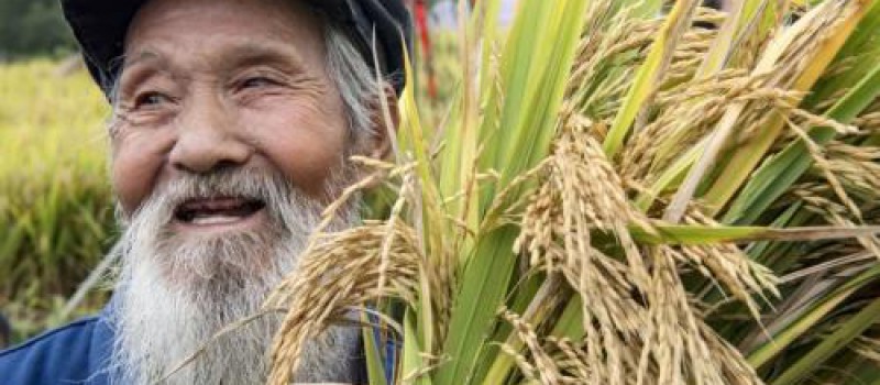 盘点2018年影响肥料市场的10大政策